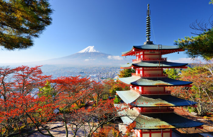 shutterstock_147744218